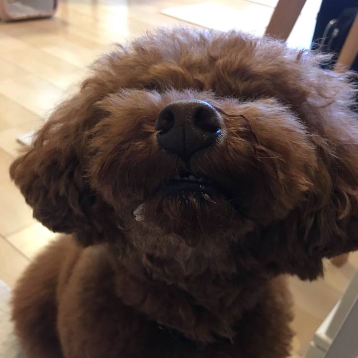 9aa96432 1321 480f 9df7 5a2964acbe30 1528929666287