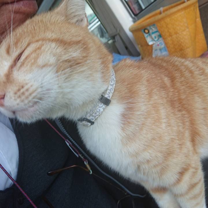 9aa98ff6 7c27 4237 a0d0 9b995b3e70d2 1587977841027