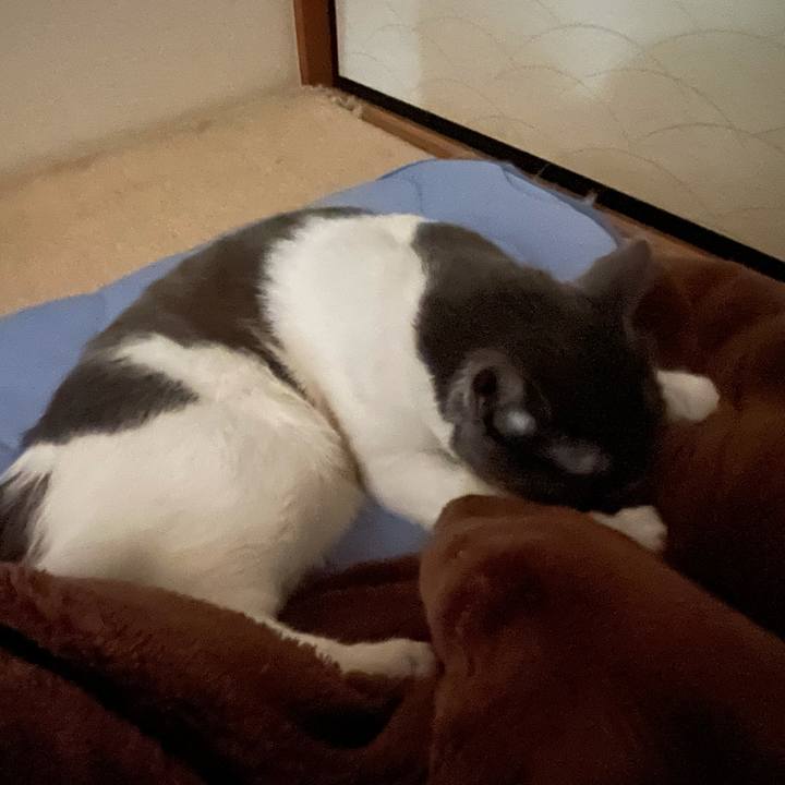 9aa9b319 ce95 4992 95d7 3bda33885b38 1633390723233