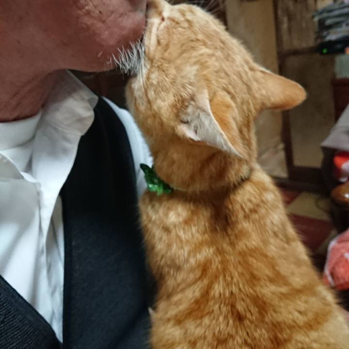 9aa9b8a5 c8eb 473e a397 aab4dc29fad2 1585734564366