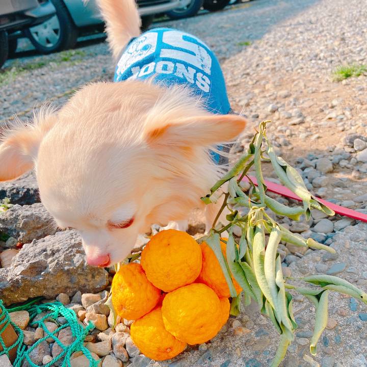 9aa9da9a 0329 4d90 b135 895186e18270 1646122445871