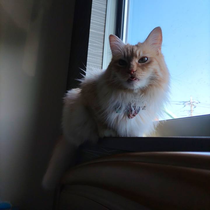 9aa9f547 e3c1 43ef 8552 a48316aa0f80 1653778619146