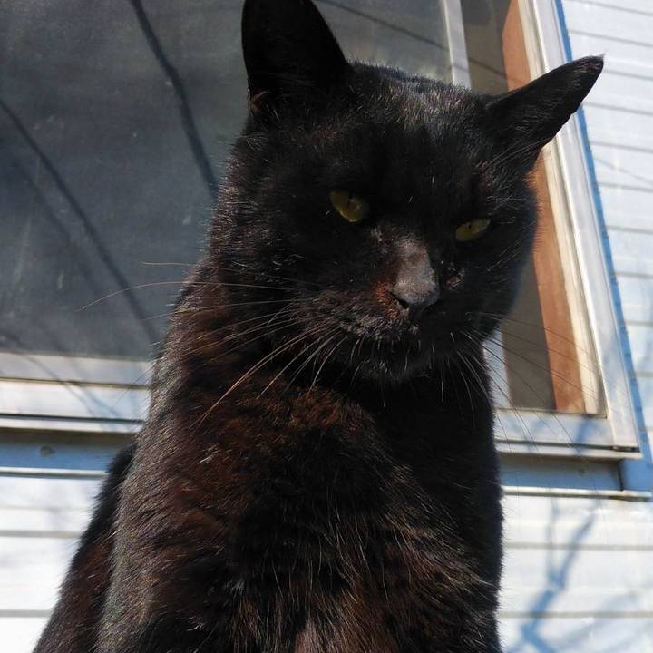 9aaa3f9e 6ed5 4a43 b6d4 dd15a345aac4 1577412850501