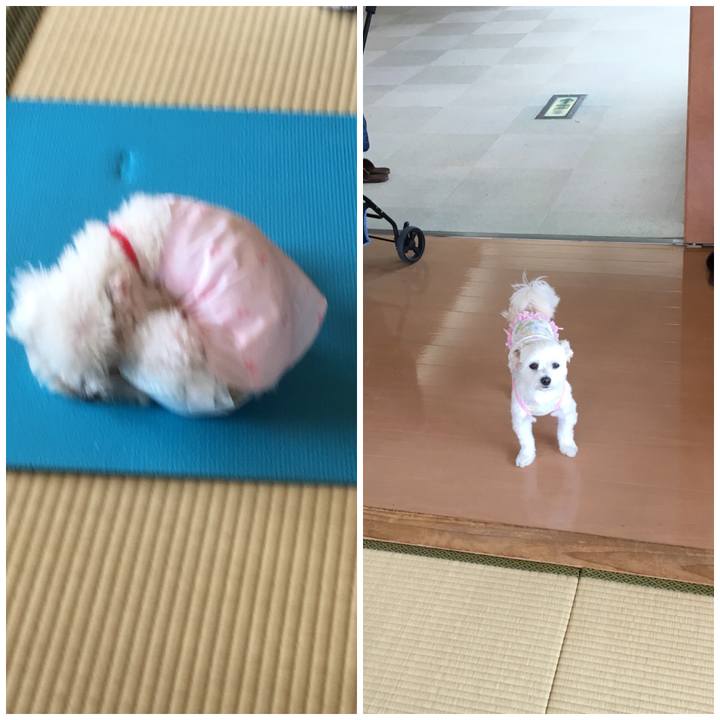 9aaa6f3a 0d99 4e18 9557 ed56ffb038ae 1526619573038