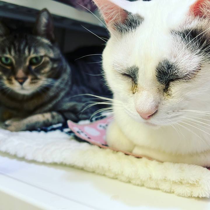 9aaa70fa 2385 407a 8672 242ca8aa5fa2 1647877551301