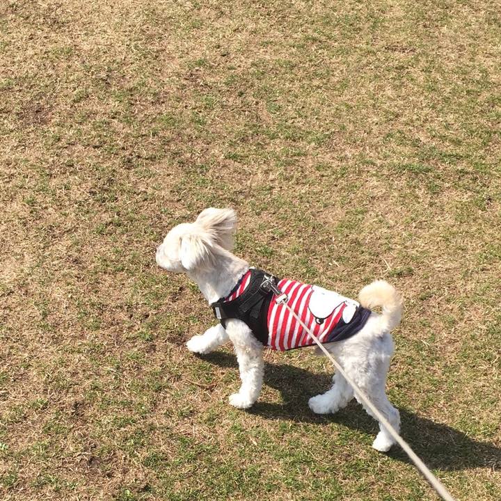 9aaa8d8a d935 462a 89d7 a4f79febf678 1520149977520