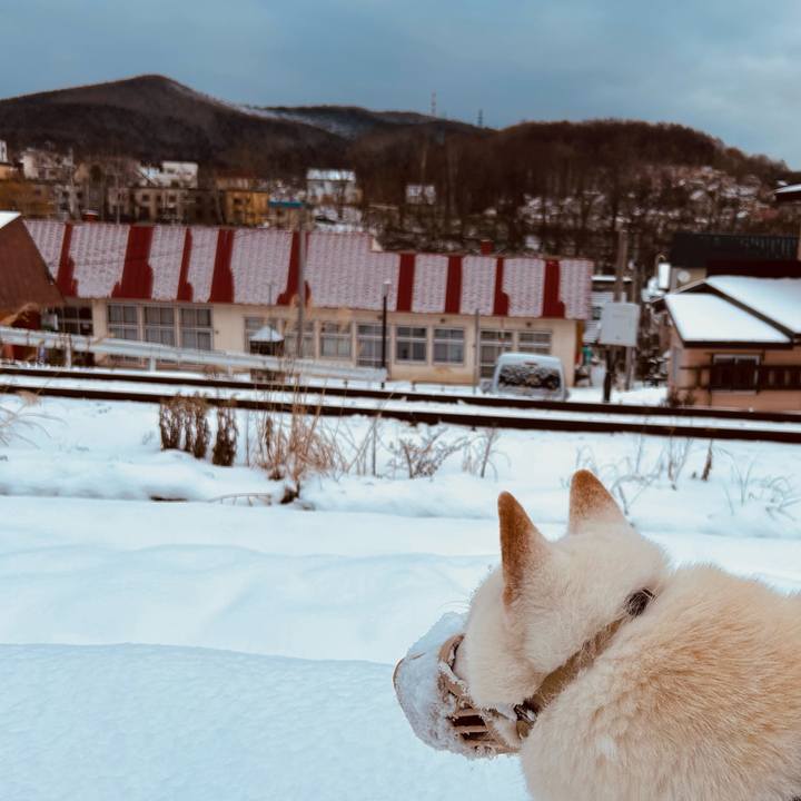 9aaaccc6 0c75 4ef5 b21d e1c587a086bd 1701474534087