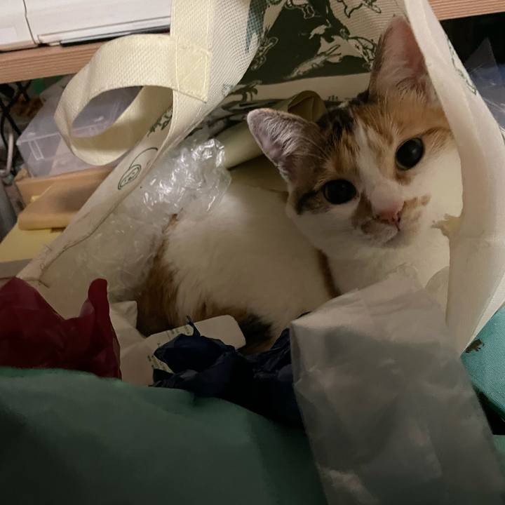 9aaaf59b ff5c 4ea6 9386 beec4ea38788 1622468882328