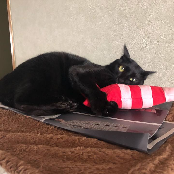 9aab6128 0698 43dc 8011 a38bde8f7bbb 1546509437408