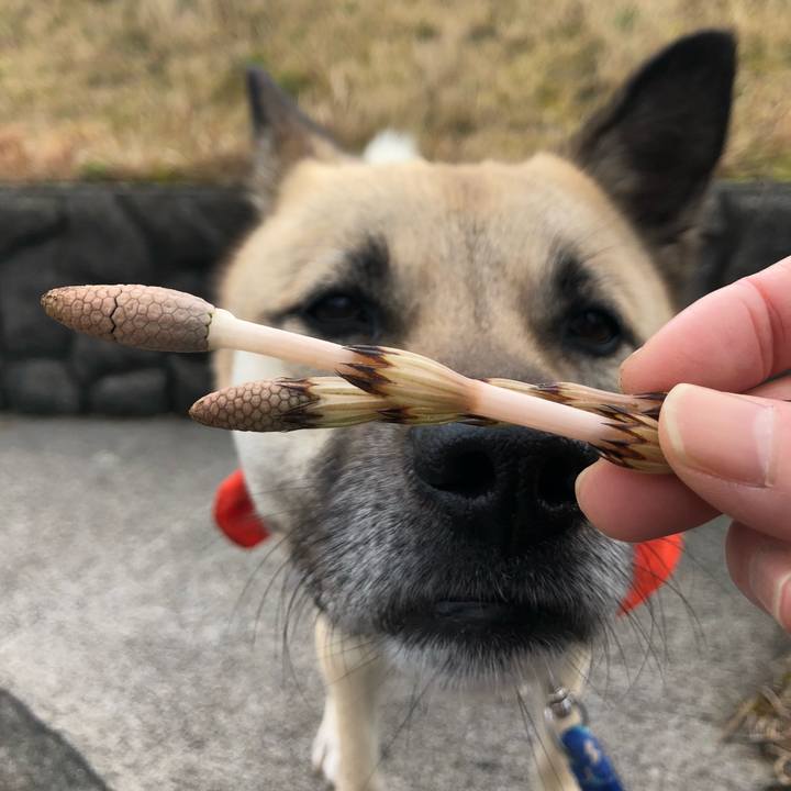 9aab6c7e 3eb1 4790 87b7 2666296badb8 1583642375088