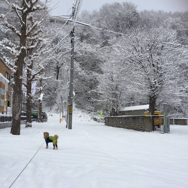 9aab82c2 7a23 4668 8711 a49e7867111a 1511579593211