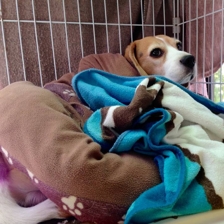 9aab844f dd81 43bb a5b7 beb038ad7e87 1729198788758