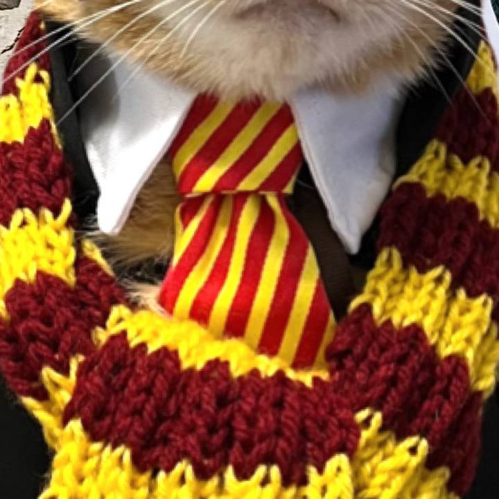 9aab9560 850f 4160 957a cad6c4d734b9 1664753567142