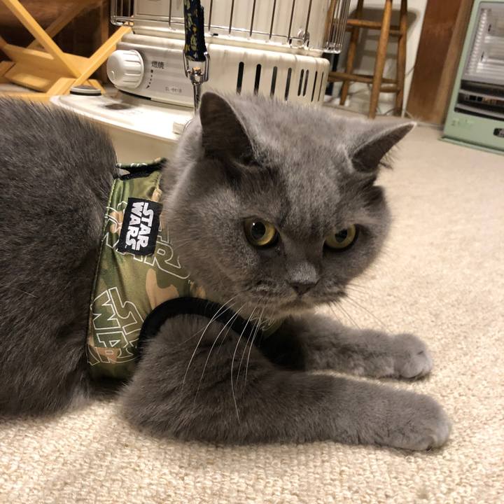 9aaba91d 11ed 4b14 ba28 14b32c056acd 1577711687819