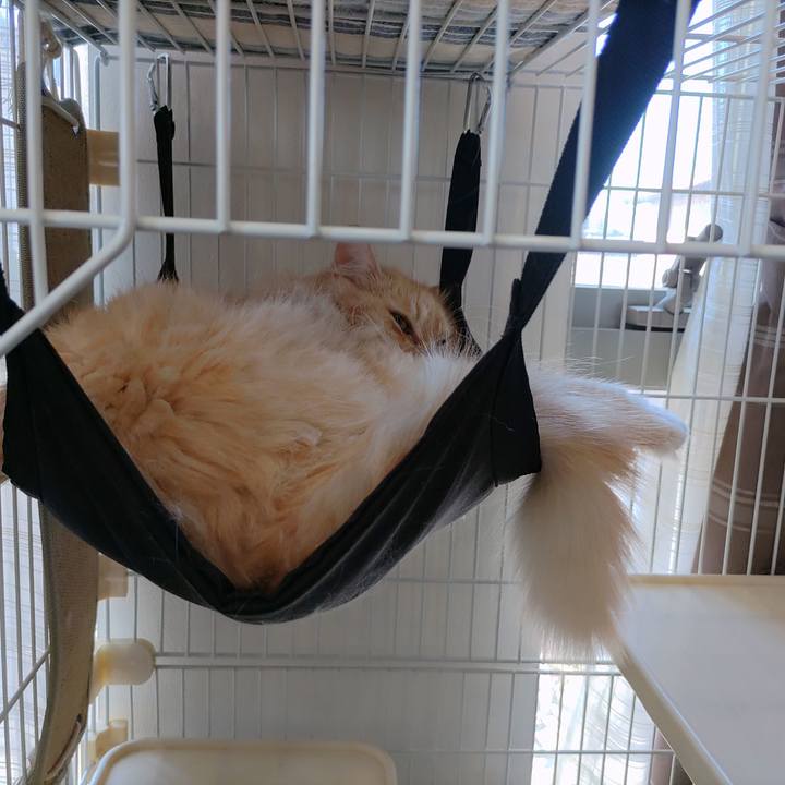 9aabc6c6 9d3a 4917 ba36 6702ff758b03 1723865746641