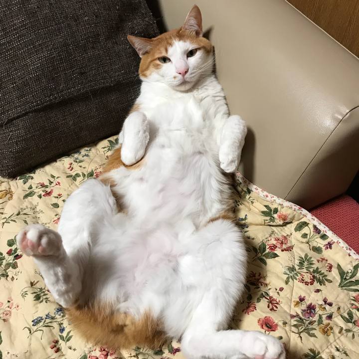 9aac3e04 e484 4d00 b075 34de68831c01 1521667487412