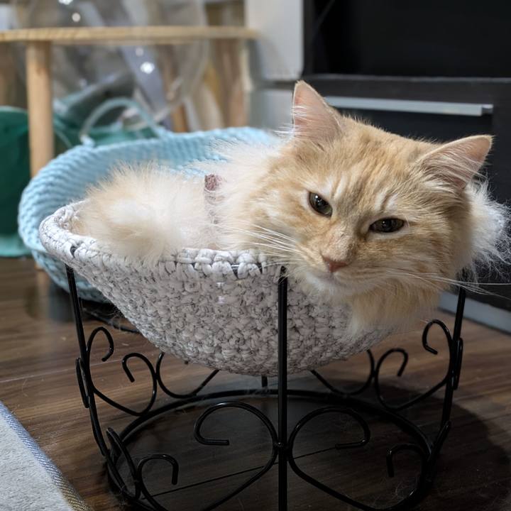 9aacb79f 882a 4261 ac73 073f2e3e8dfd 1751641084213