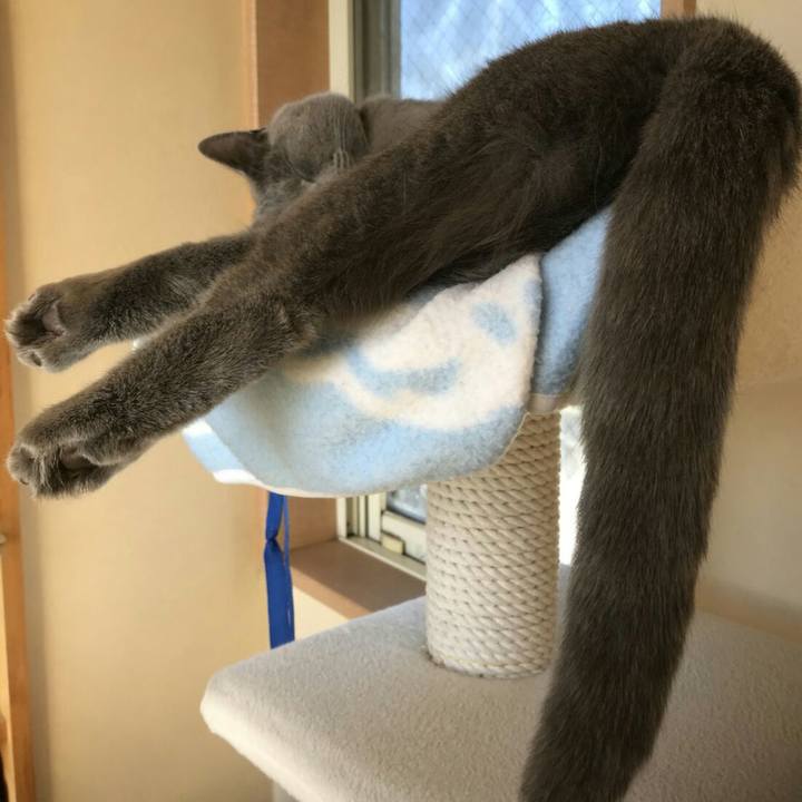 9aacf03f 9d47 41c8 9ae3 8813a8b40648 1511136000877