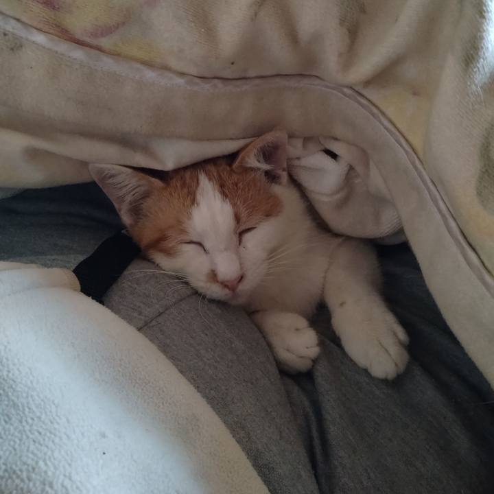 9aad0168 4b57 454c b588 12b2f2374b9f 1739761872701