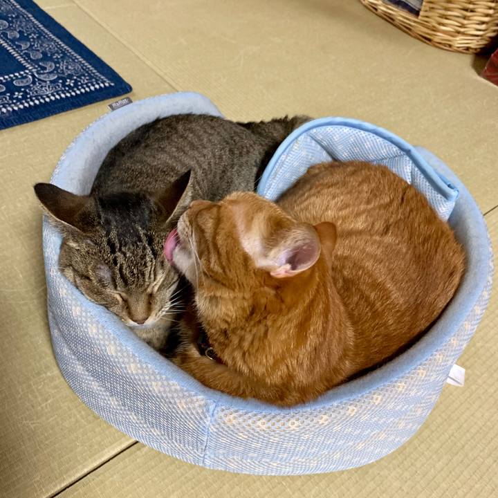 9aad0de0 57f3 409a 8331 2653d78c3dfb 1563523837877