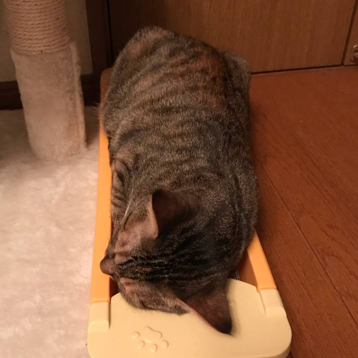 9aad13d9 fa55 4ab3 a1e7 997e65f339dd 1596411255130