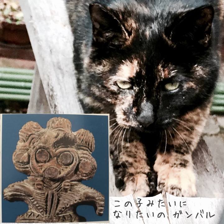 9aad8694 05b9 4417 a720 5b267deff8b7 1519625802324