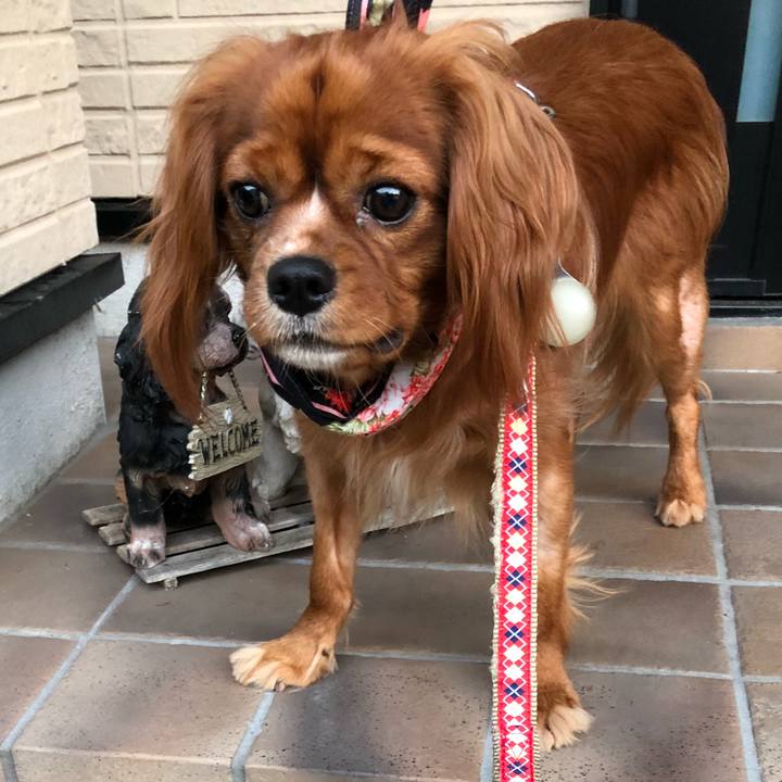 9aada6f7 a32f 4921 b3e1 2504ebcc20db 1532086302420