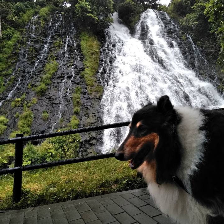 9aadb2e0 5e7d 4d35 a80c 5732d15a3aa1 1565841592123