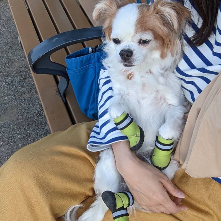 9aadccbf e62a 4aac bedd 85996a9abfab 1683018233970