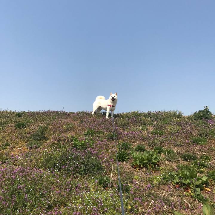 9aae35a0 fb0e 4cf3 b1fb 19d2e7c37e0c 1520916296324