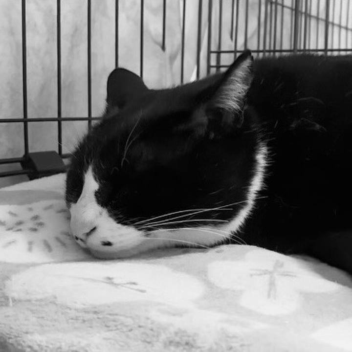 9aae4ee4 9b72 4eaf b640 6115264b64ff 1744633436888