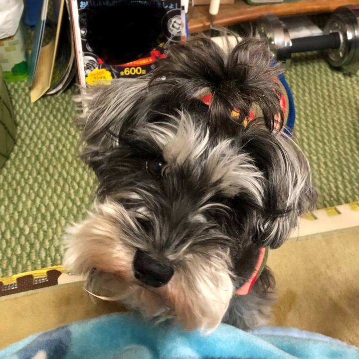 9aae6219 1034 443b ba8a 04bbe35ded57 1544952104995