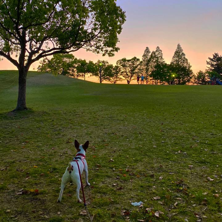 9aae9fa6 21bc 4bdd 8450 8ed2731dab7e 1588620084321