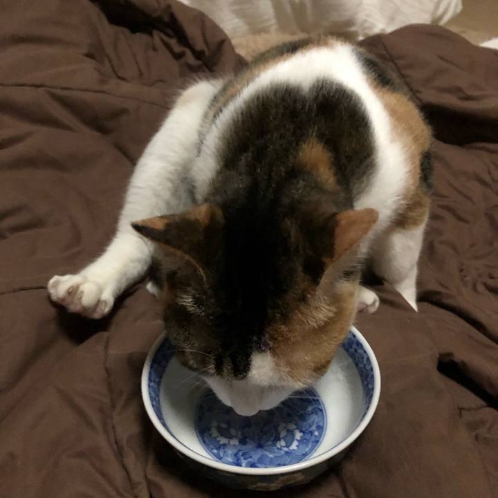 9aaea6c8 4f1d 44ad 99b0 f36b10646eac 1587057589655