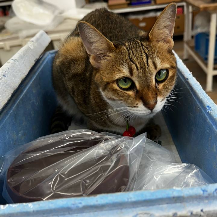 9aaeaf7c d171 4527 b74d 05b62be13619 1757651058345