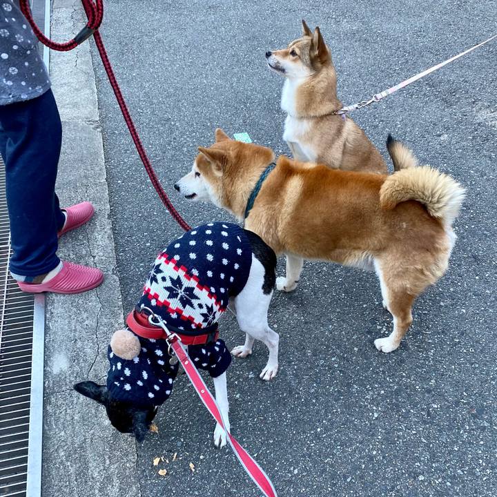 9aaf25f0 a3fe 4082 bd7b 43adc62cc970 1608076066036