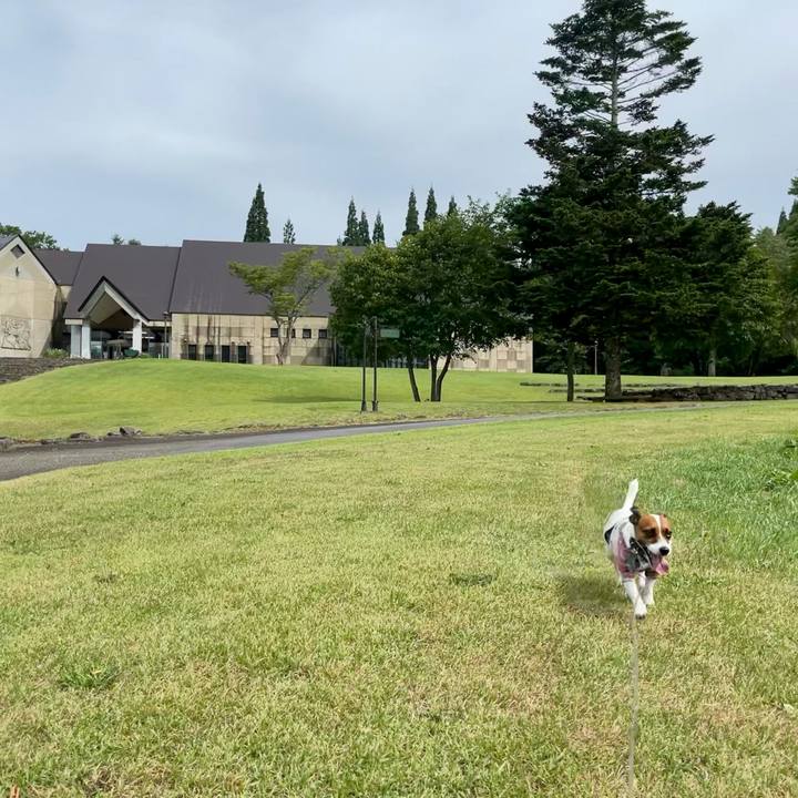 9aaf3bb6 5d81 41ce b0b6 1b2561c399ce 1628660416843