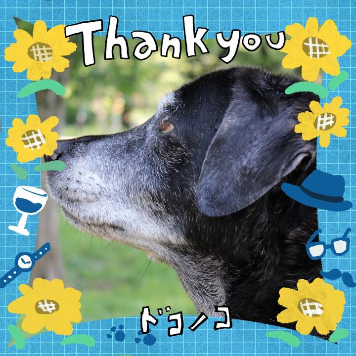 9aaf73d0 a023 4411 b081 d4f9973a1f94 1717595867637