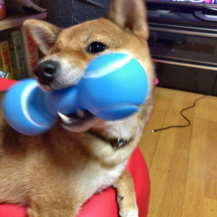 9aaf9df7 68b0 4b1c 8cd3 f0b283387374 1521801697980