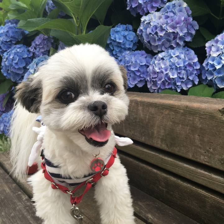 9aafa458 c165 4543 a9f7 0854510dbfb9 1528202483808