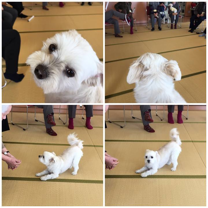 9aafa7e1 b936 40b7 8c28 19977ea0ff8d 1550218160017