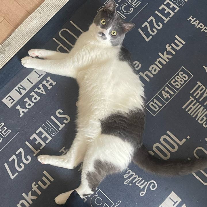 9aafb1eb b17a 4427 91b7 bd9000136730 1722726873637