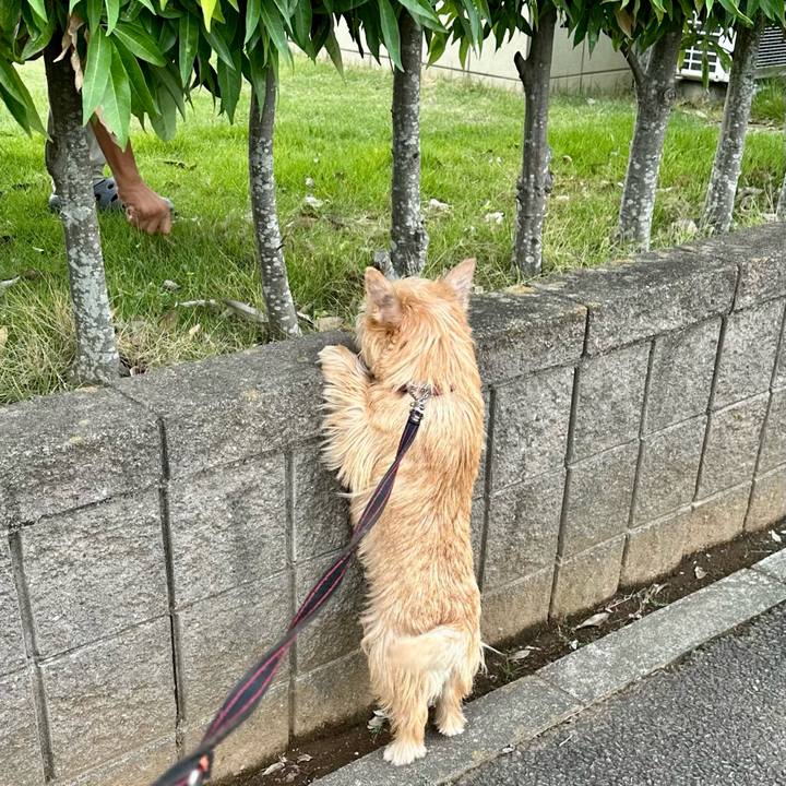 9aafd9d6 f050 4e1b a55e 6f6d43a6b582 1757777722424