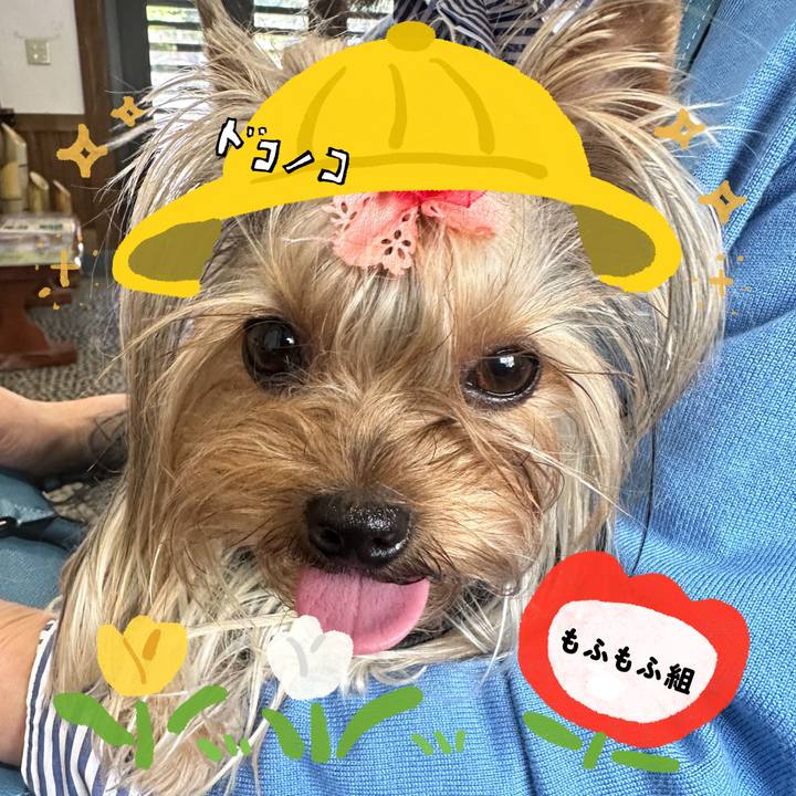 9aaffbe8 5045 4f03 a839 bf3c76ccbbc4 1712394362255