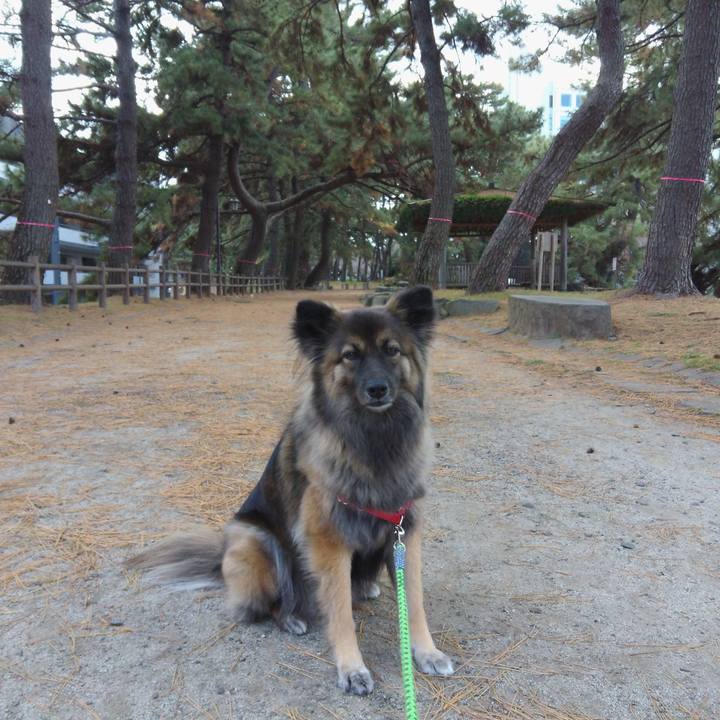 9ab0185a 85ee 482d 9267 be50c6787e05 1767156618099