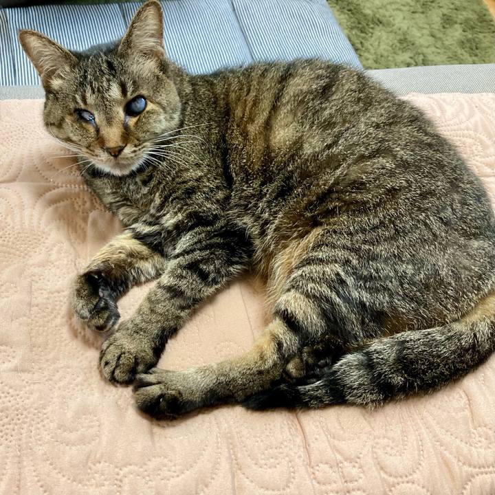 9ab03b70 bb3b 4a5b 81a3 988a589beafd 1655452217684