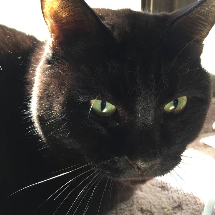 9ab05f8d f4d8 4a2f 9727 ce66de1255cf 1540776842469