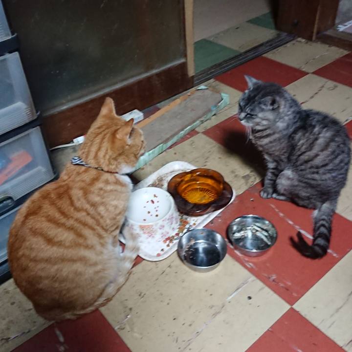 9ab09cb3 357d 48f9 ab58 3607853dac50 1570477800929