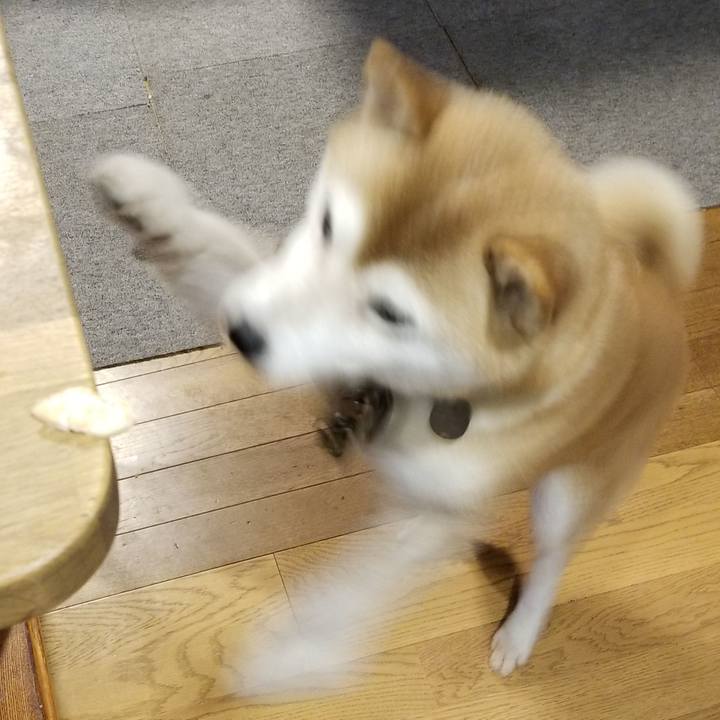 9ab0a7ad c8d3 4df8 afb9 397a221cc58b 1629795116621