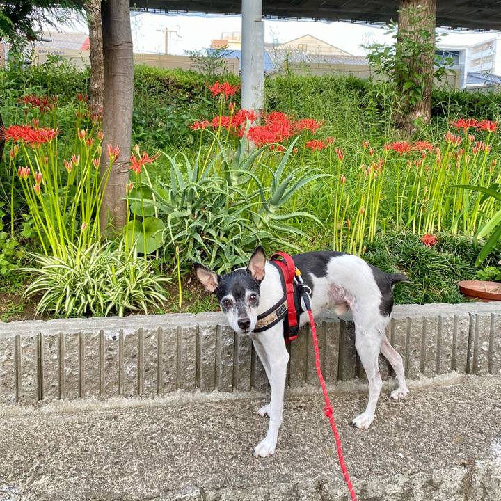 9ab0afd8 6e68 4833 8e92 f485dae9becd 1631745094930